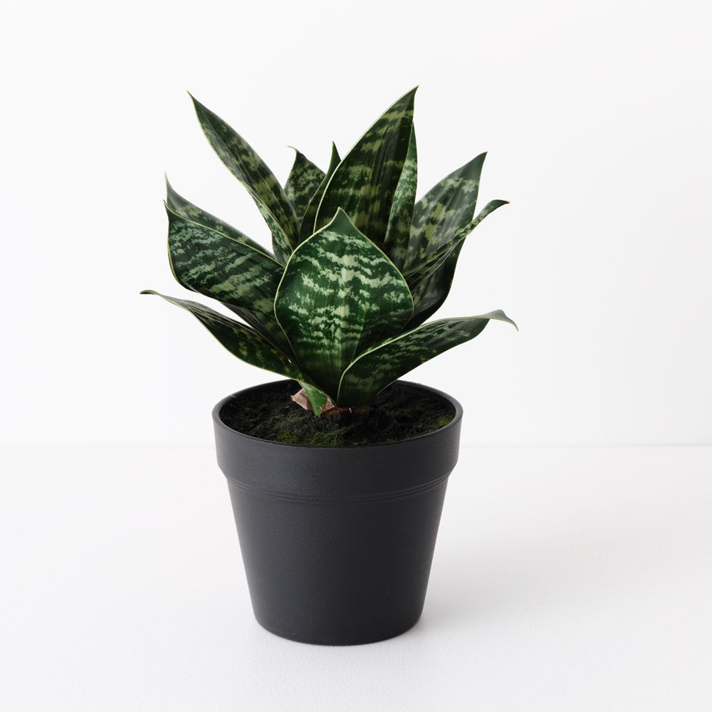 Artificial sansevieria snake plant 25cm, green