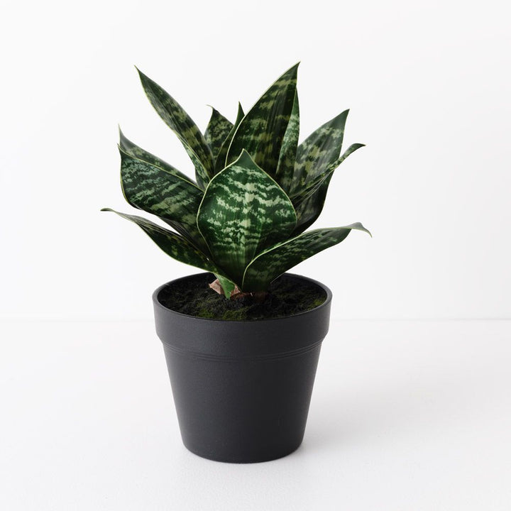 Artificial sansevieria snake plant 25cm, green