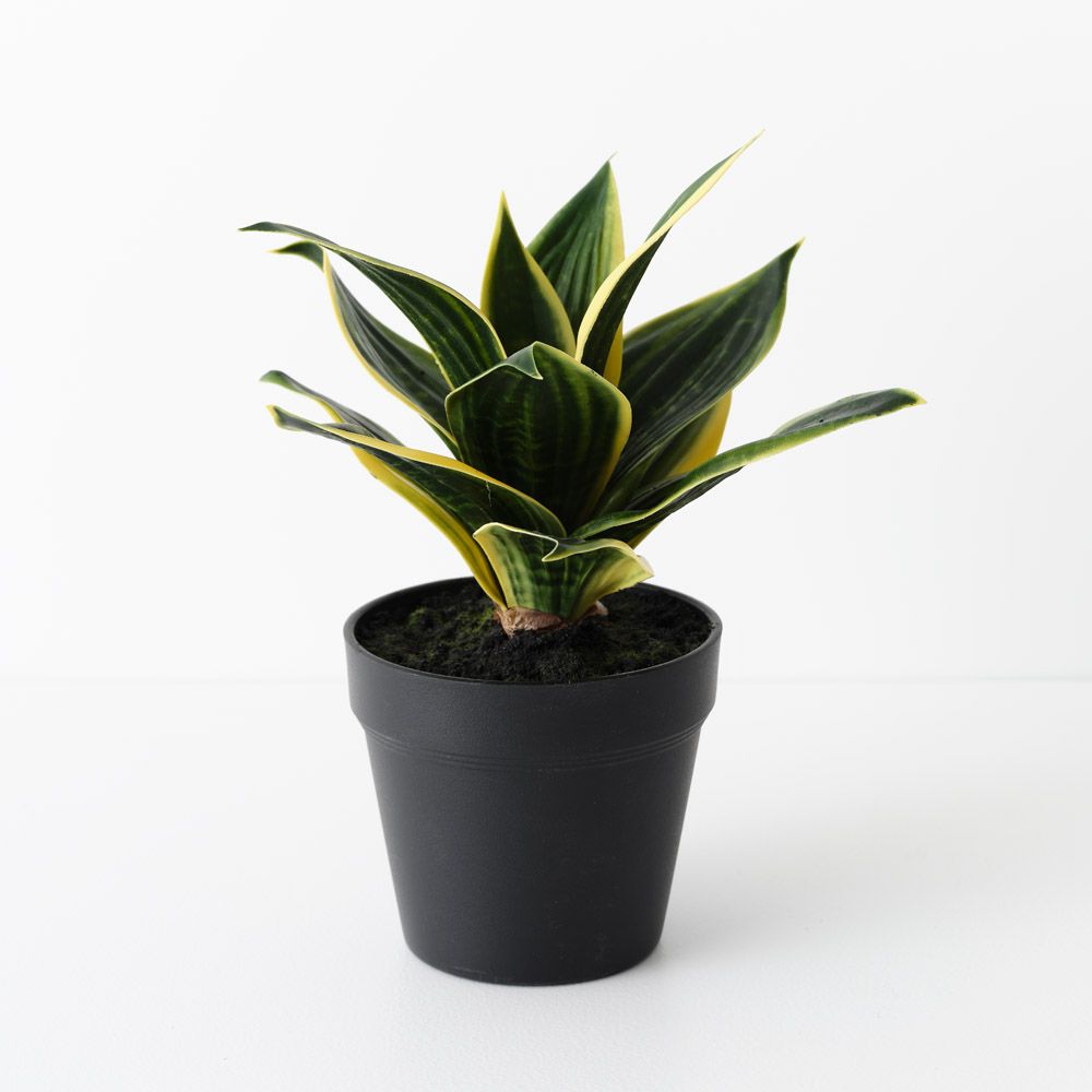 Artificial sansevieria snake plant 25cm, green and yellow