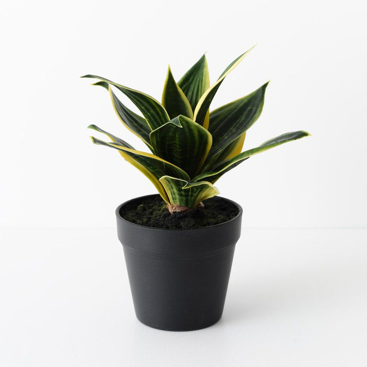 Artificial sansevieria snake plant 25cm, green and yellow
