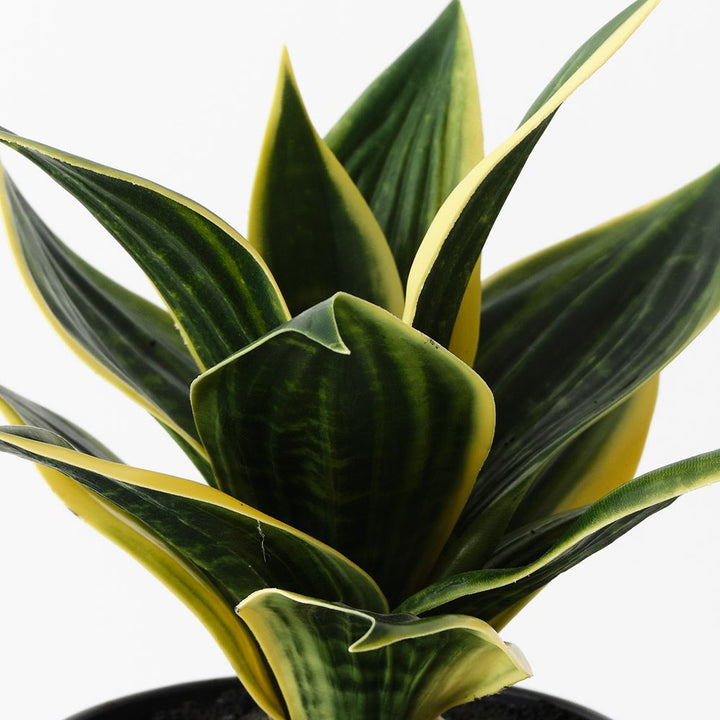 Artificial sansevieria snake plant 25cm, green and yellow – view 2