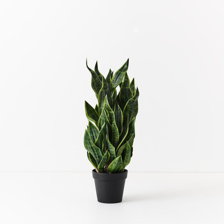 Artificial sansevieria snake plant 81cm, green
