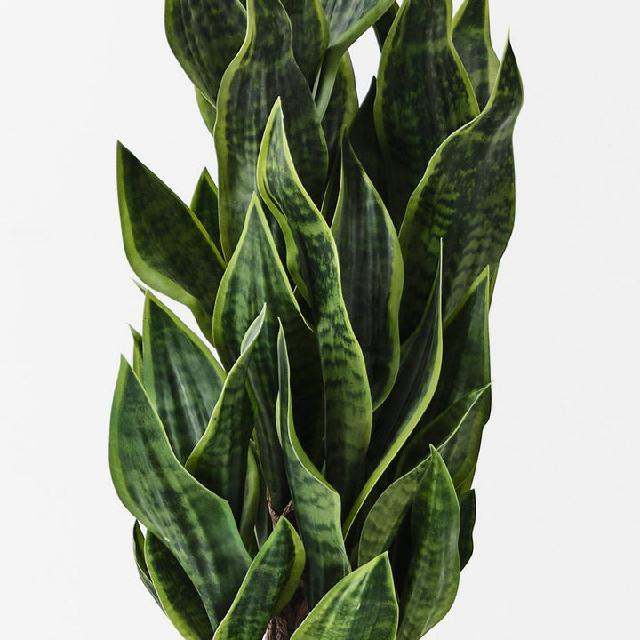 Artificial sansevieria snake plant 81cm, green – view 2