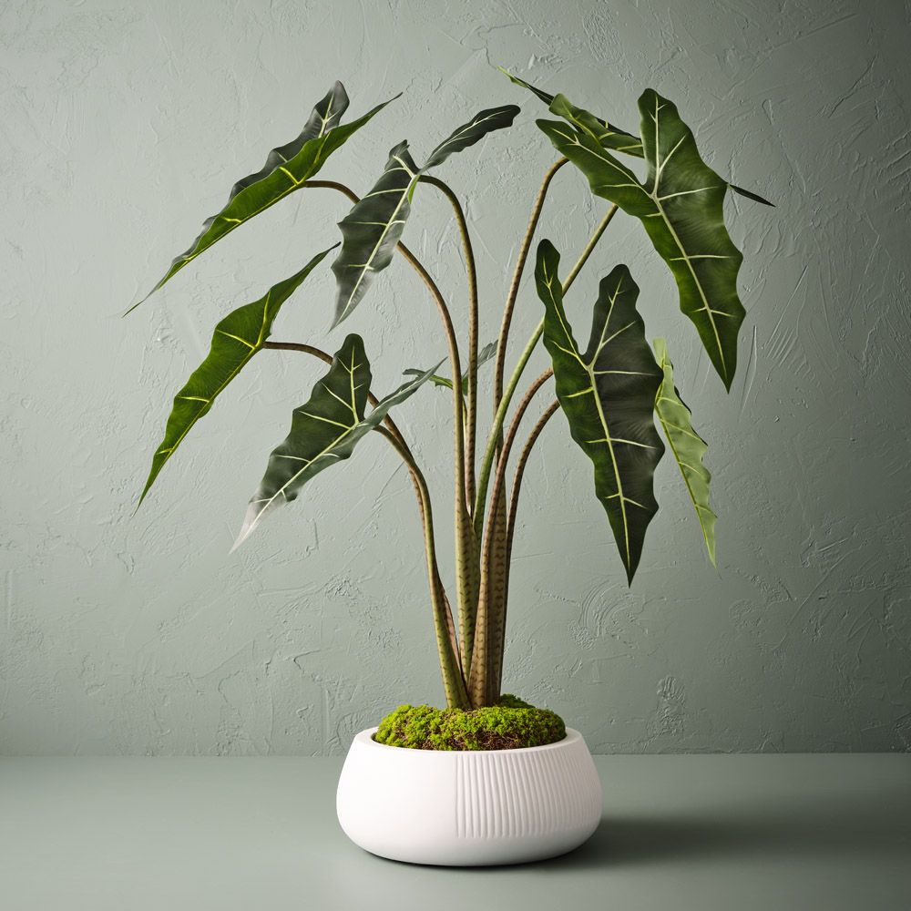 Artificial alocasia plant 120cm – view 4