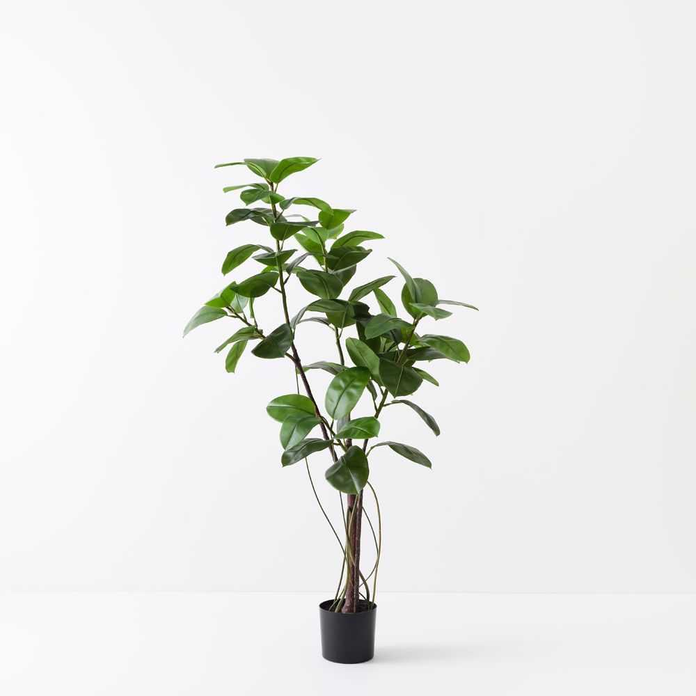 Artificial rubber tree 180cm