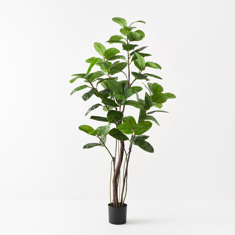 Artificial rubber tree 210cm