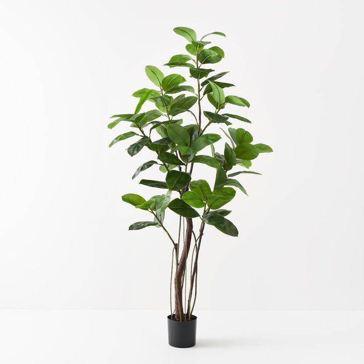 Artificial rubber tree 210cm