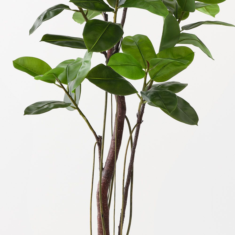 Artificial rubber tree 210cm – view 2
