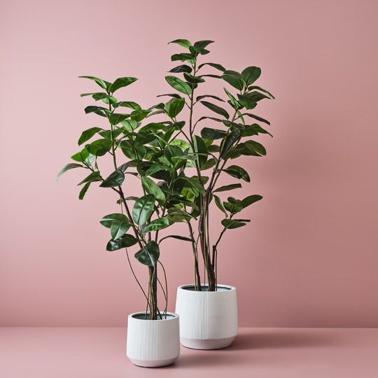 Artificial rubber tree 210cm – view 3