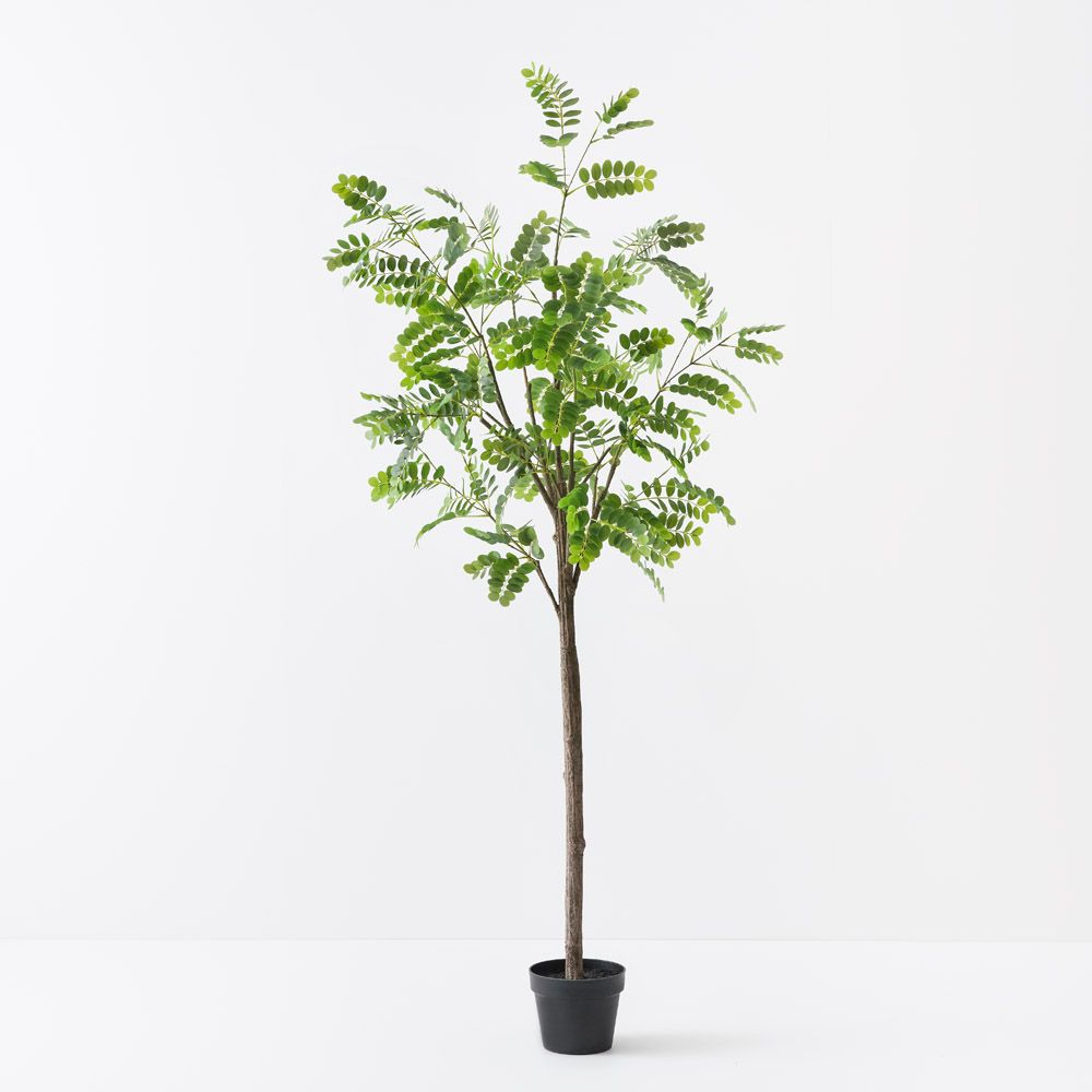 Artificial Japanese pagoda tree 180cm