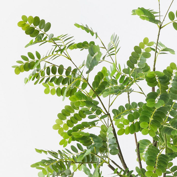 Artificial Japanese pagoda tree 180cm – view 2