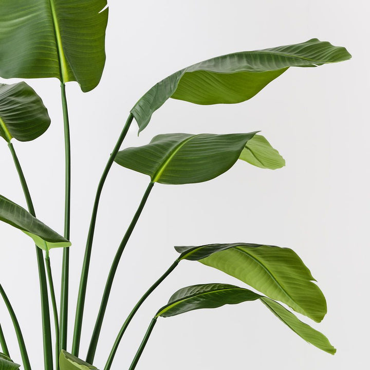 Artificial bird of paradise plant 180cm, green – view 2