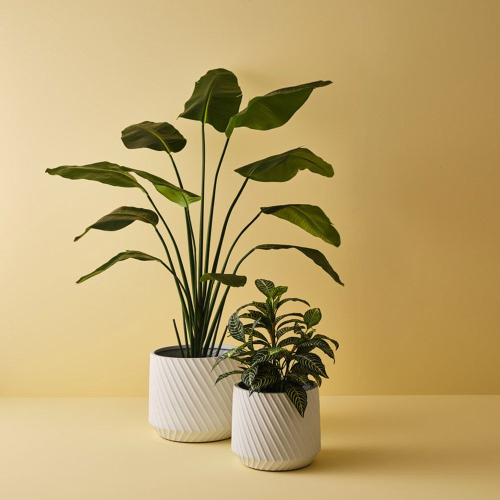 Artificial bird of paradise plant 180cm, green – view 3
