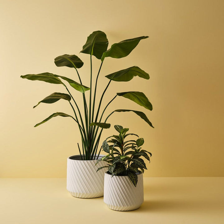 Artificial bird of paradise plant 180cm, green – view 3