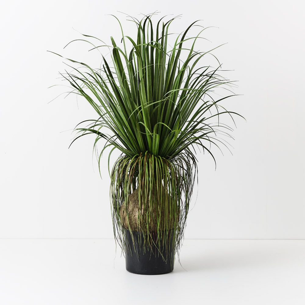 Artificial bulb grass plant 120cm, large pot