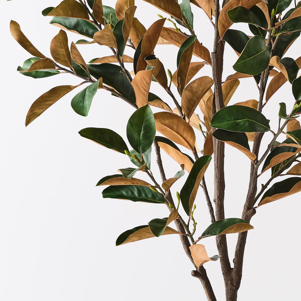 Artificial magnolia tree 180cm, green – view 2