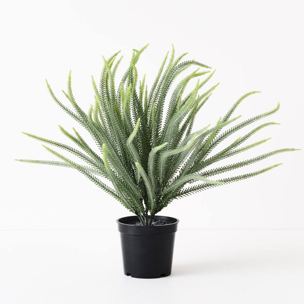 Artificial Norfolk pine plant 36cm