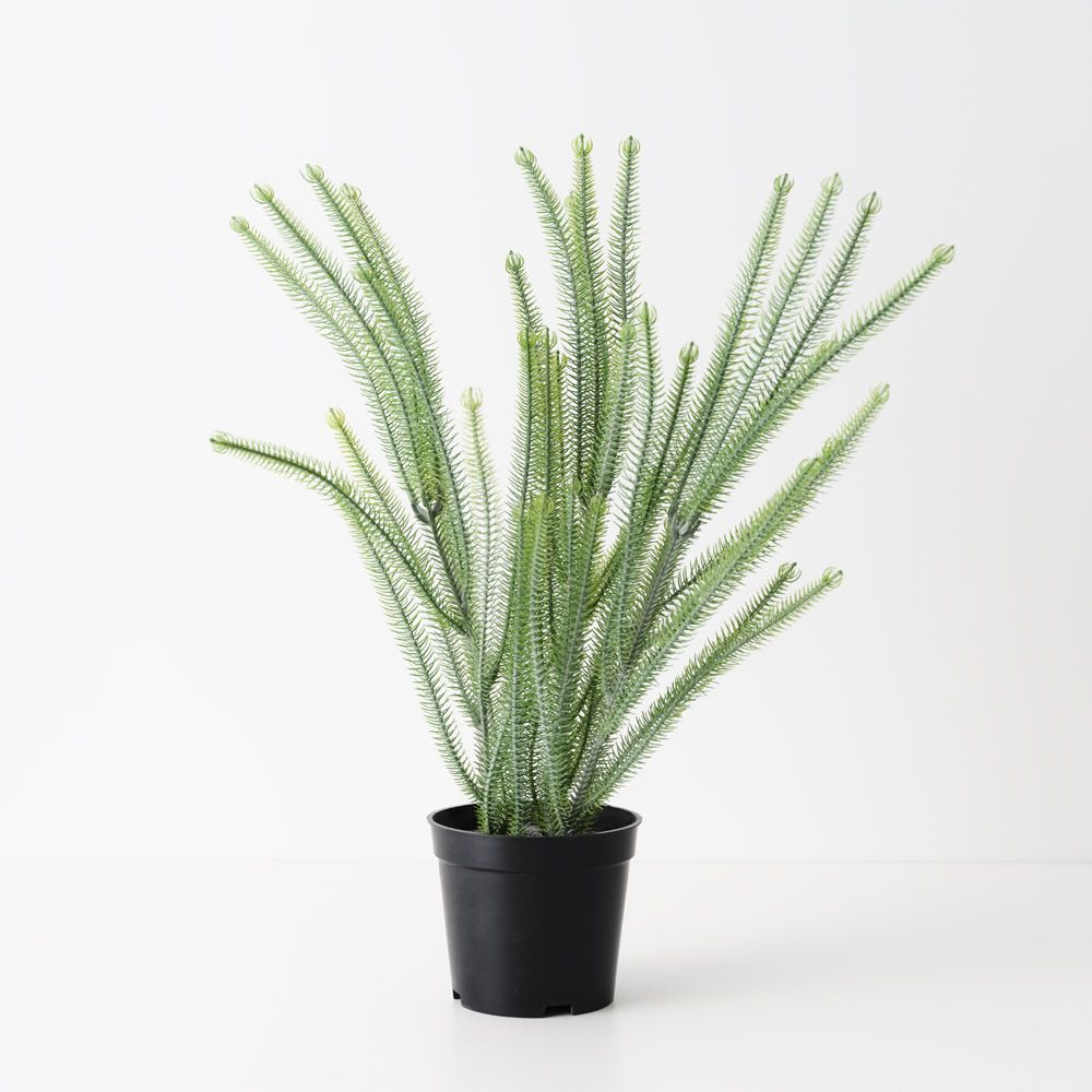 Artificial Norfolk pine plant 43cm