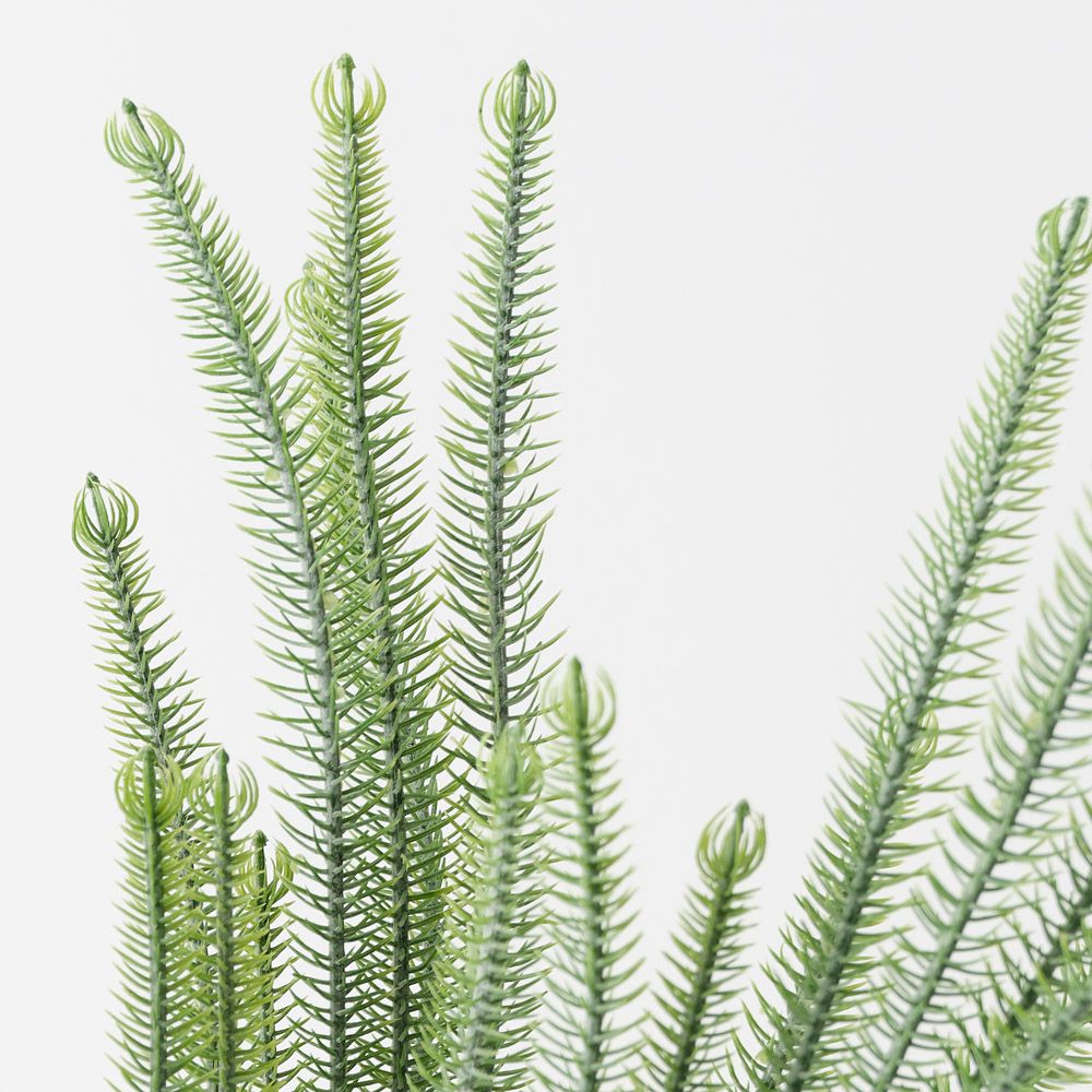 Artificial Norfolk pine plant 43cm – view 2