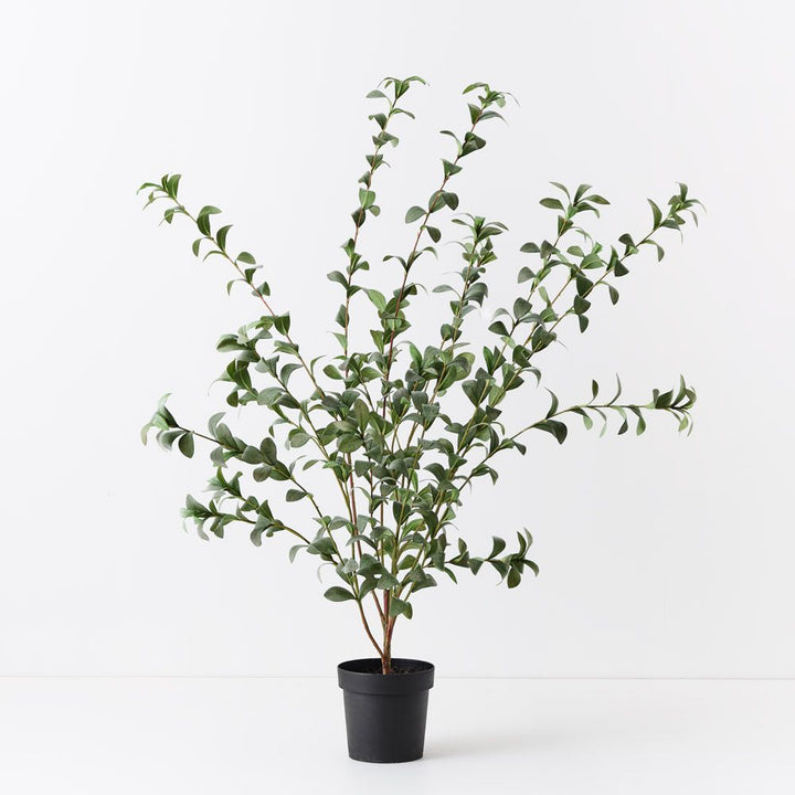 Artificial pittosporum plant 150cm, grey-green