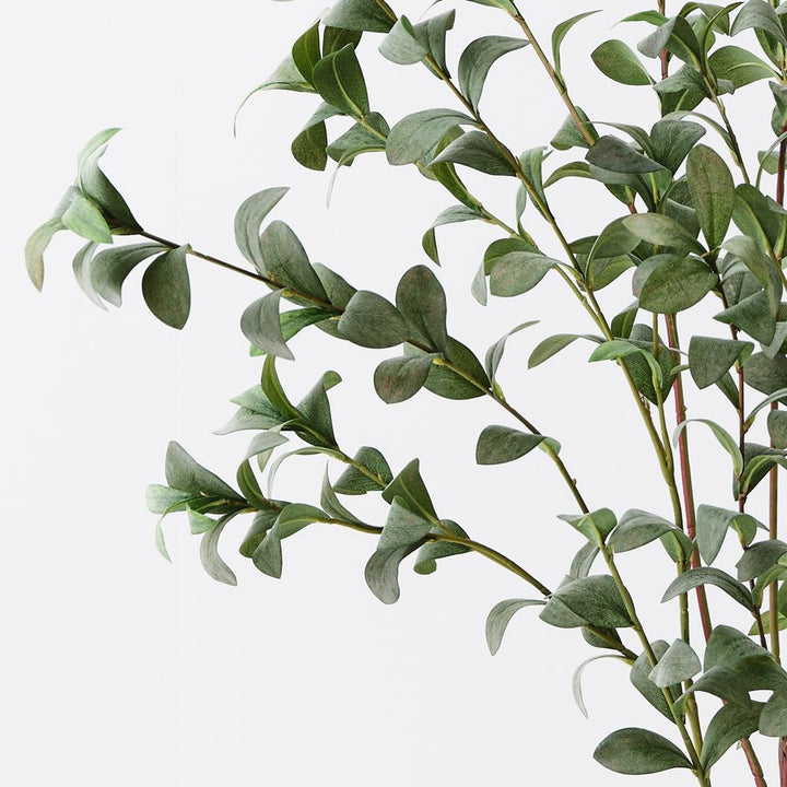 Artificial pittosporum plant 150cm, grey-green – view 2