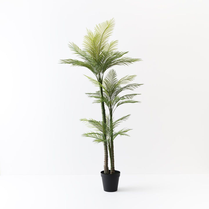 Artificial areca palm 220cm