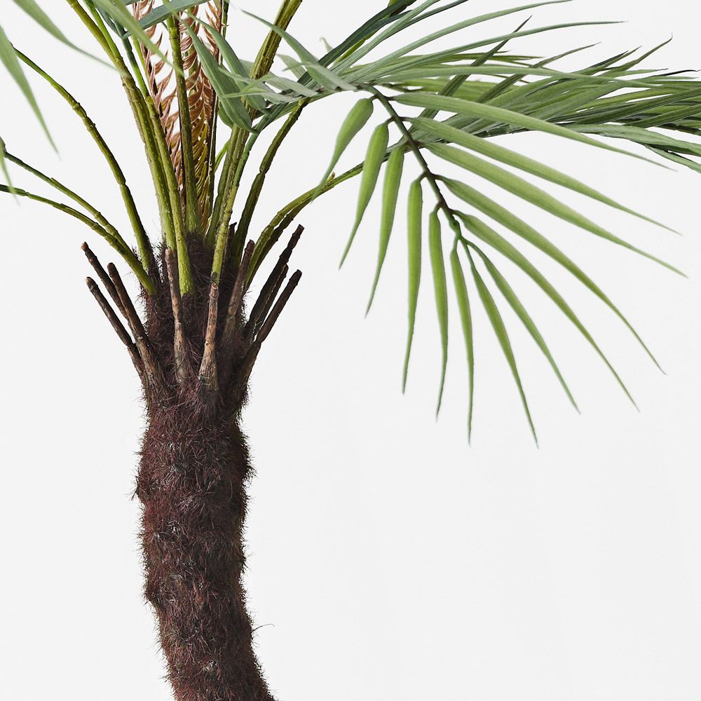 Artificial phoenix palm 76cm, grey-green – view 2