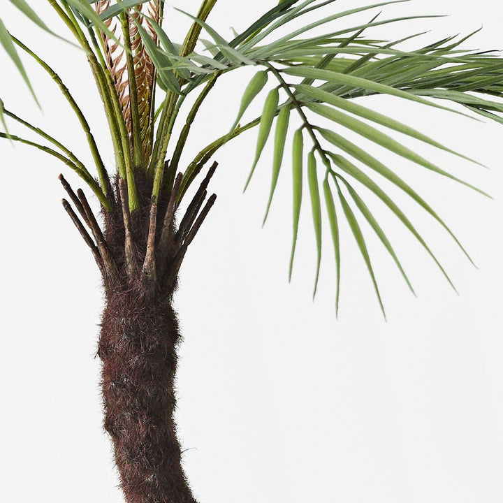 Artificial phoenix palm 76cm, grey-green – view 2