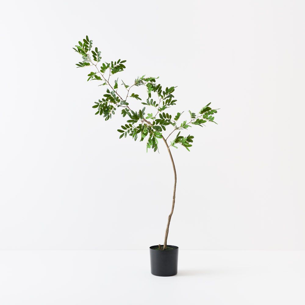Artificial sappan tree 160cm