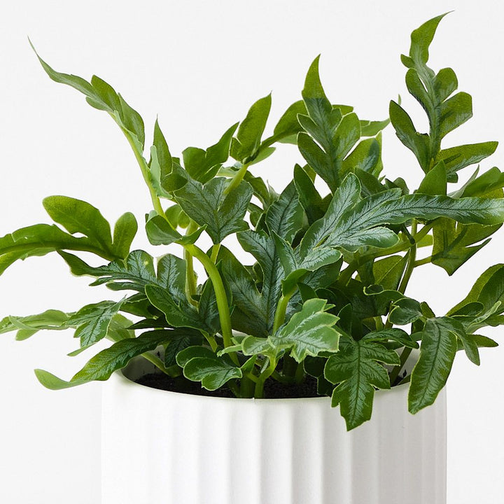 Artificial kangaroo fern in white ceramic pot 19cm – view 2