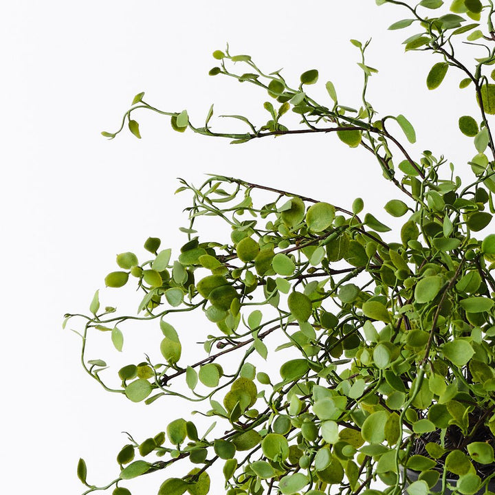 Artificial maidenhair vine plant 30cm – view 2
