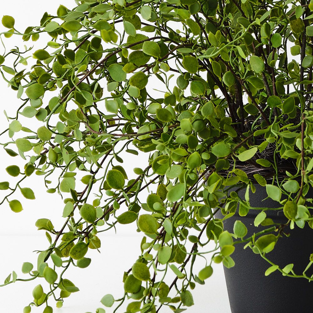 Artificial maidenhair vine plant 36cm – view 2