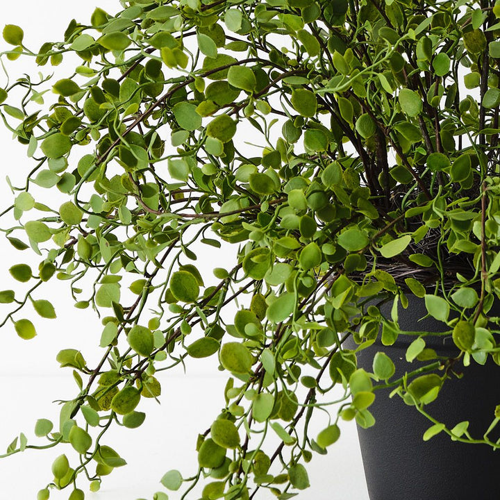 Artificial maidenhair vine plant 36cm – view 2