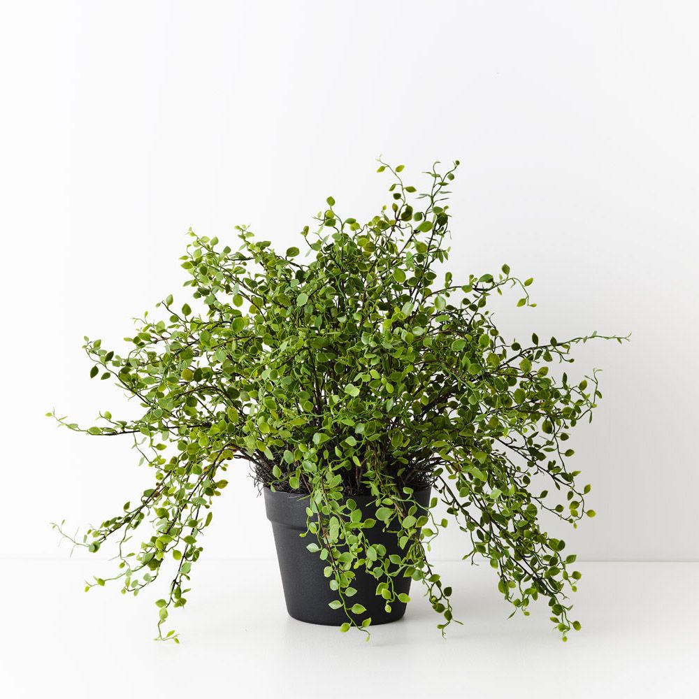 Artificial maidenhair vine plant 41cm