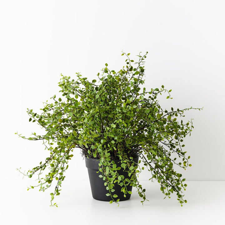 Artificial maidenhair vine plant 41cm