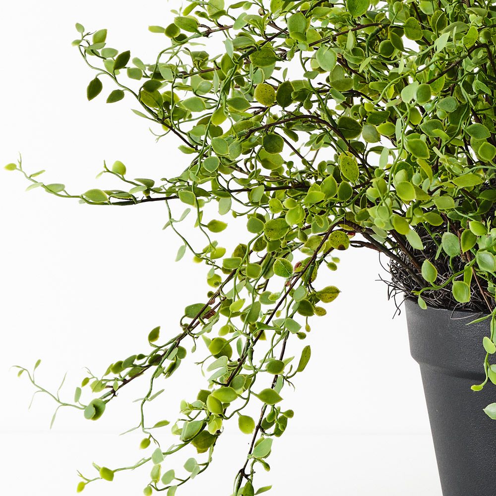 Artificial maidenhair vine plant 41cm – view 2