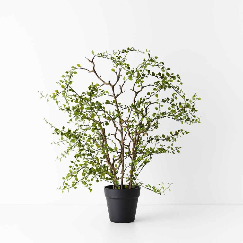 Artificial maidenhair vine plant 66cm