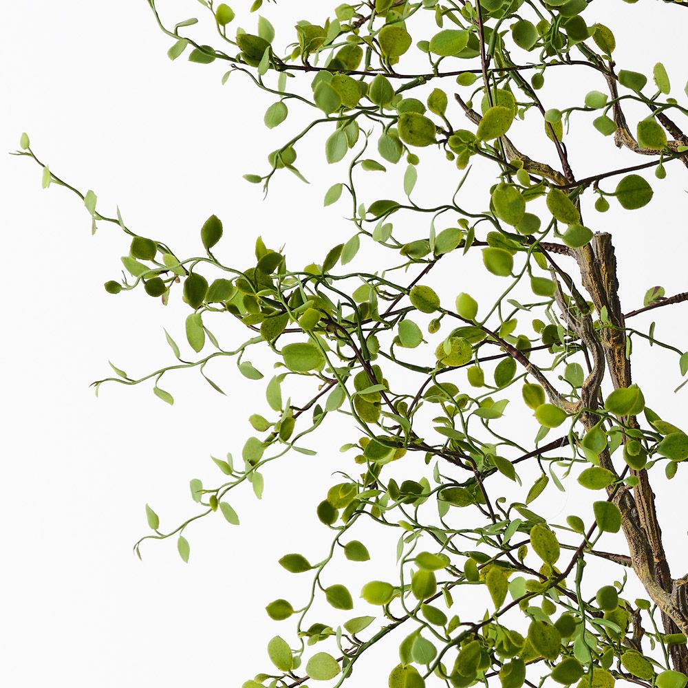 Artificial maidenhair vine plant 66cm – view 2