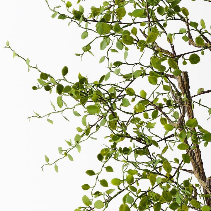 Artificial maidenhair vine plant 66cm – view 2