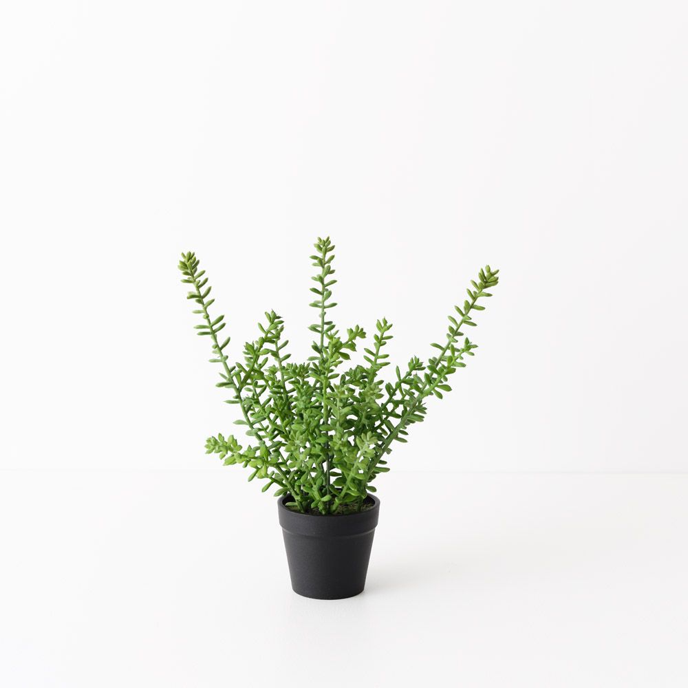 Artificial sedum succulent plant 25cm