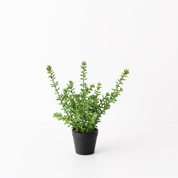 Artificial sedum succulent plant 25cm