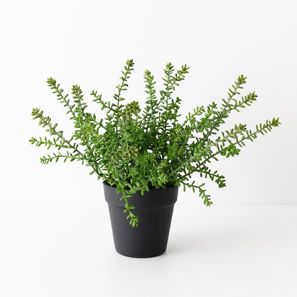 Artificial sedum succulent plant 37cm