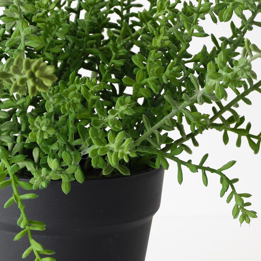 Artificial sedum succulent plant 37cm – view 2