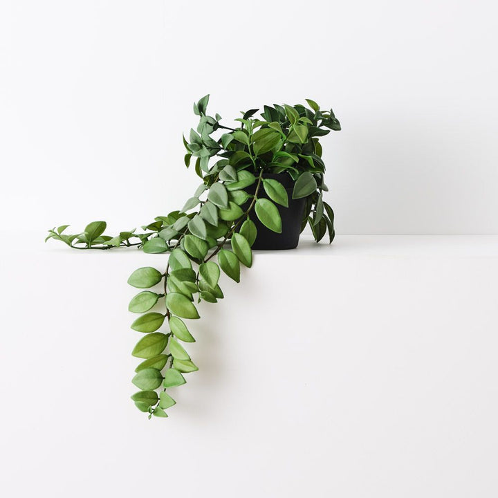 Artificial honey locust trailing plant 50cm – view 2