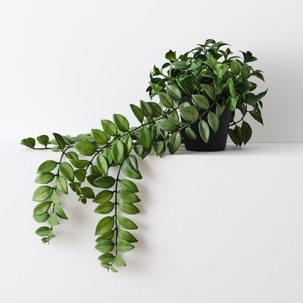 Artificial honey locust trailing plant 66cm