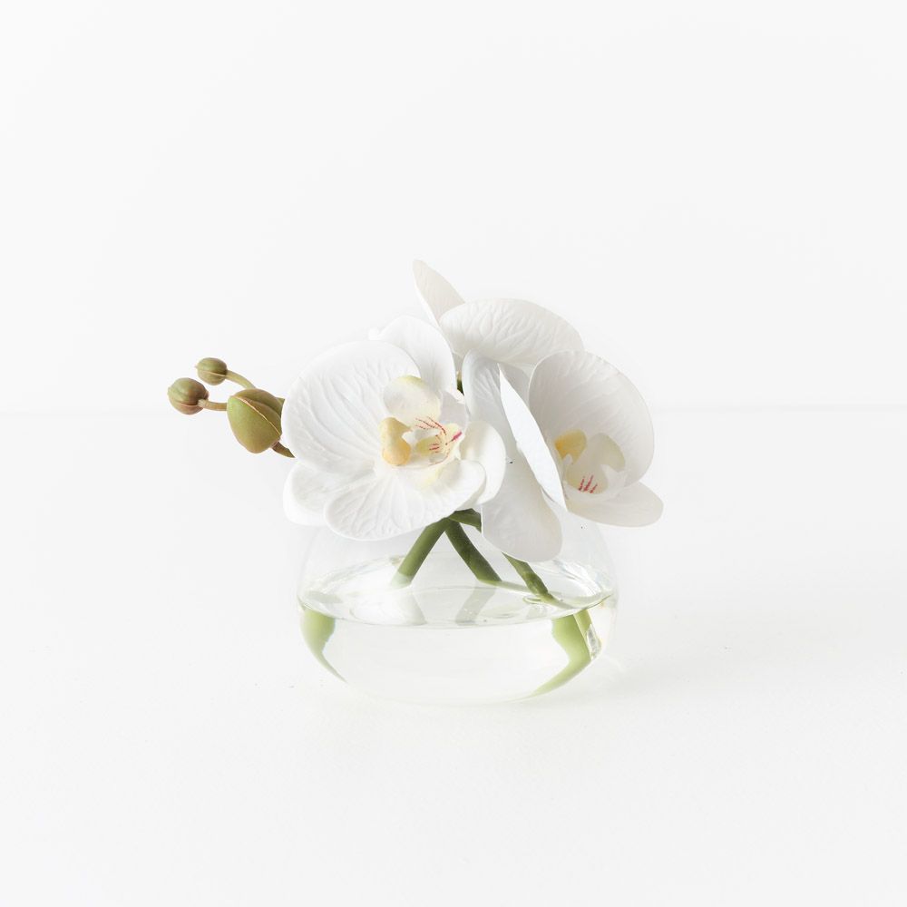 Artificial white phalaenopsis orchid in glass vase 11cm