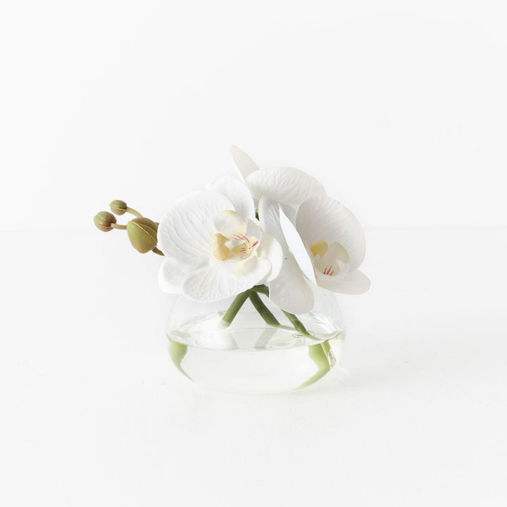 Artificial white phalaenopsis orchid in glass vase 11cm