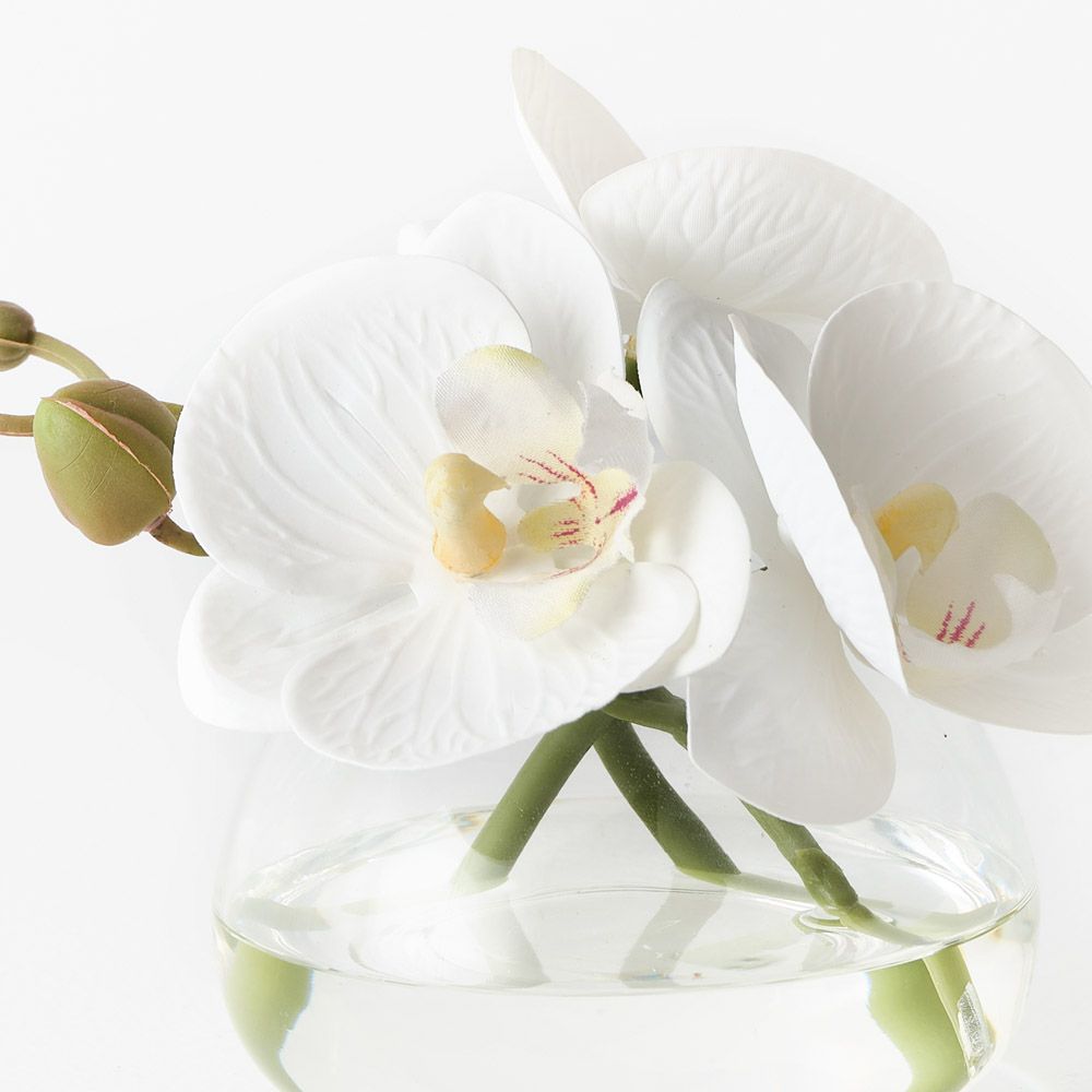 Artificial white phalaenopsis orchid in glass vase 11cm – view 2