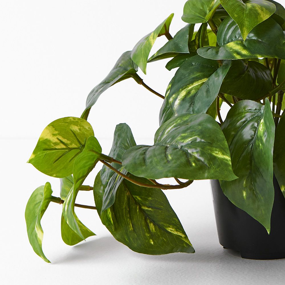 Small artificial variegated pothos in pot 19cm – view 2