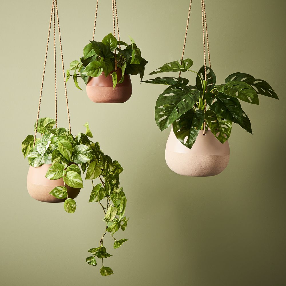 Small artificial variegated pothos in pot 19cm – view 3